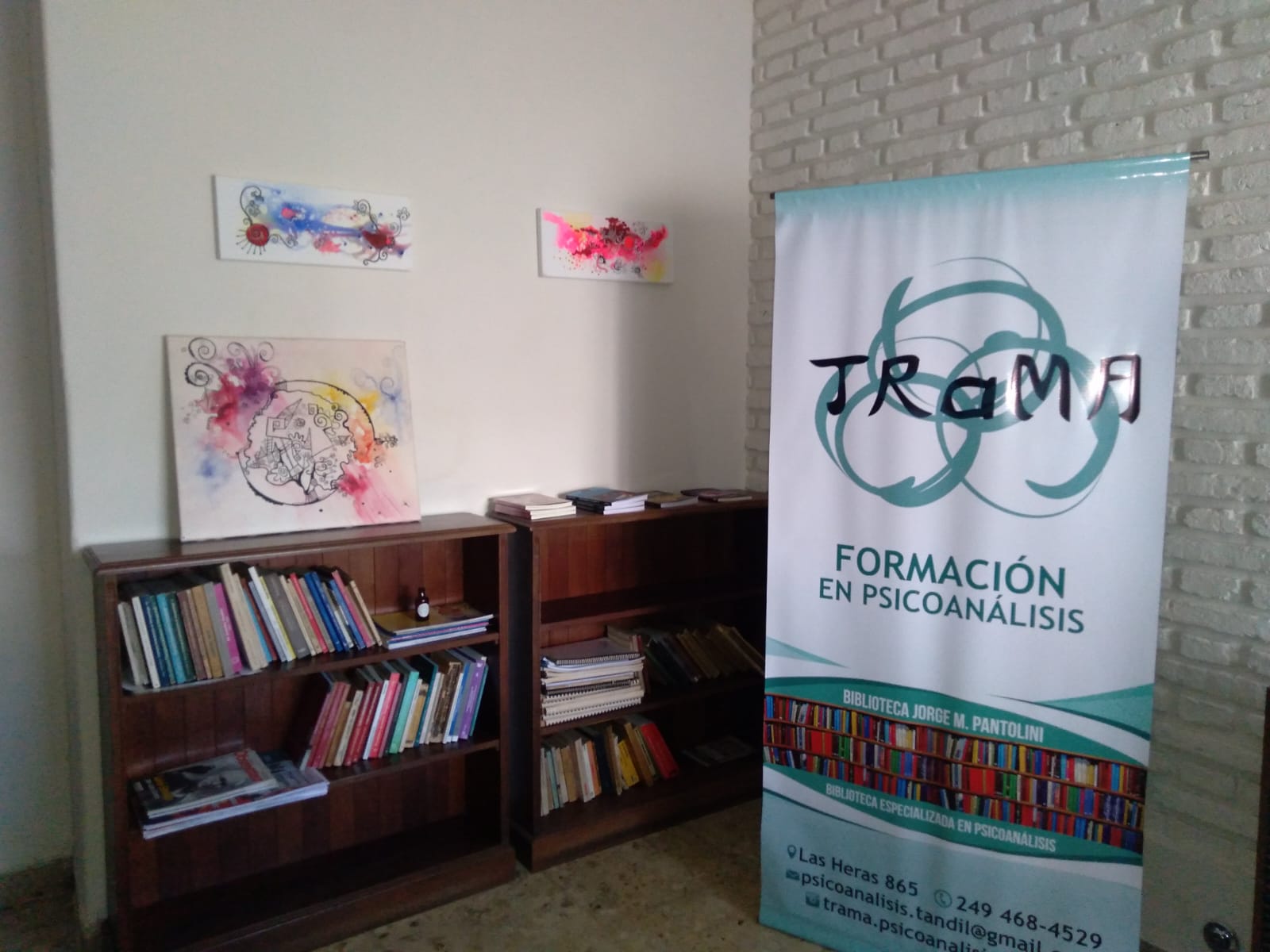 Imagen 5