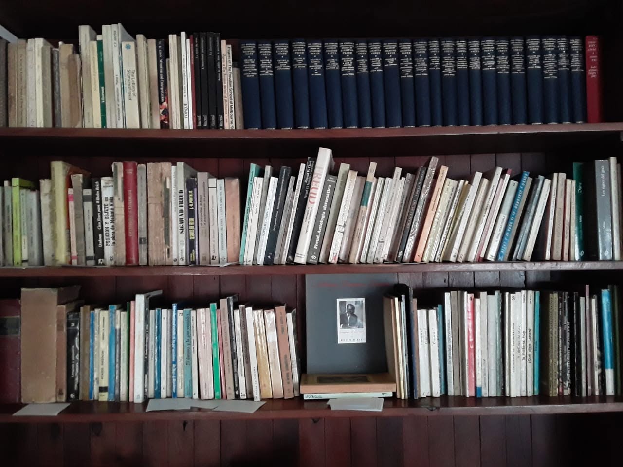Biblioteca Jorge Pantolini